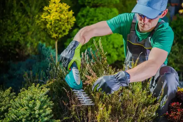 landscaping services Melrose Park